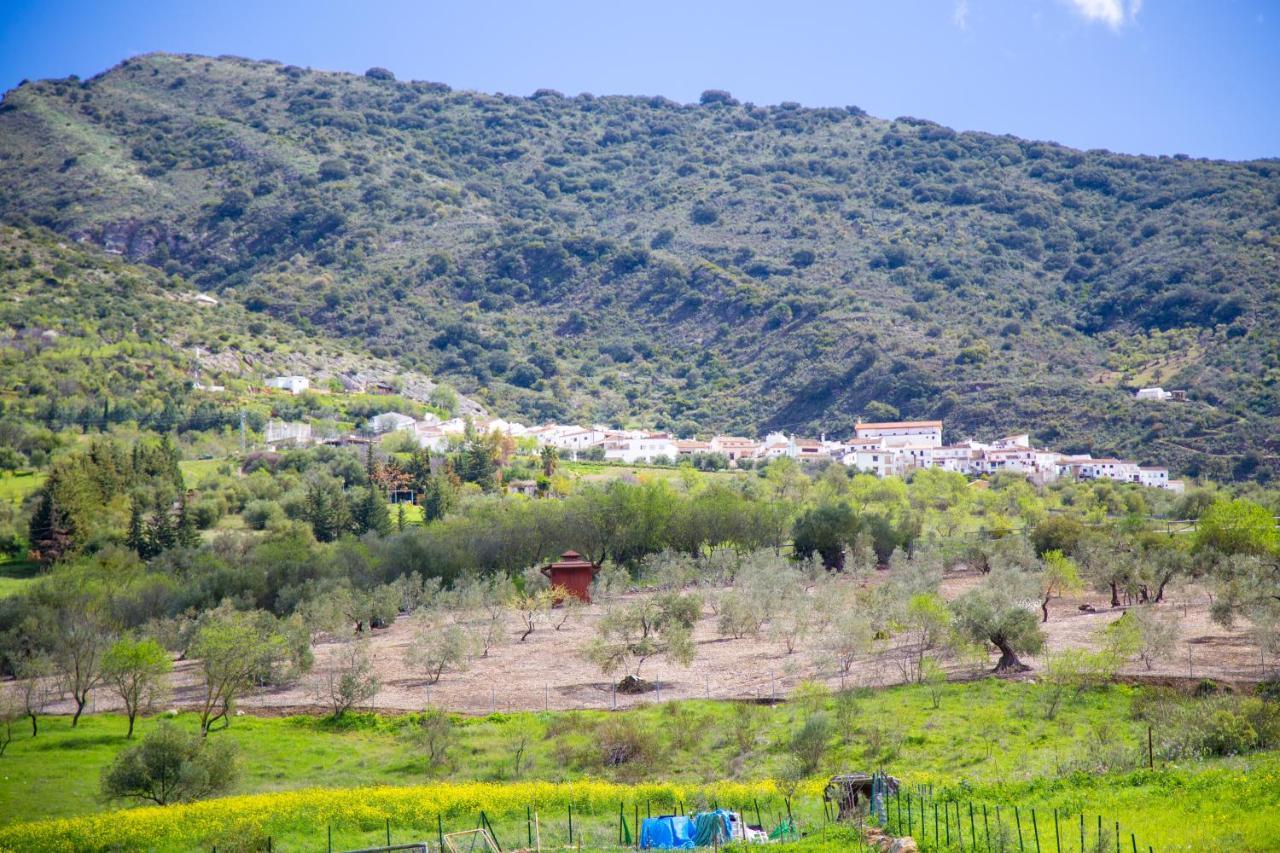 Hotel Rural Inz-Almaraz Jimera de Líbar Exteriör bild
